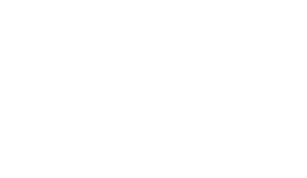 Levigo logotyp